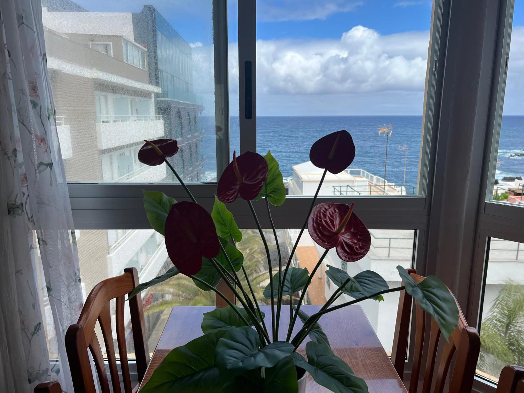 Apartament Vista Rosmary Puerto de la Cruz  Zewnętrze zdjęcie